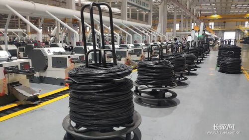 河北加快推進(jìn)縣域特色產(chǎn)業(yè)提質(zhì)升級(jí) 以螺栓產(chǎn)業(yè)為例，提升四個(gè)能力優(yōu)化產(chǎn)業(yè)生態(tài)